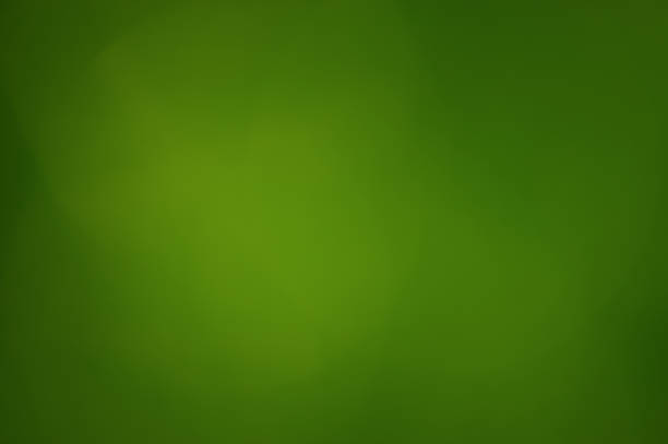 istock Green abstract blurred background. Green plant defocus. 2171802872