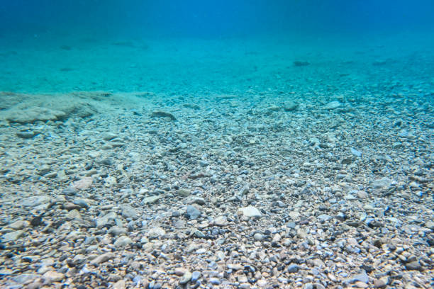 istock Underwater scenery - crystal clear sea and rocks 2171809756