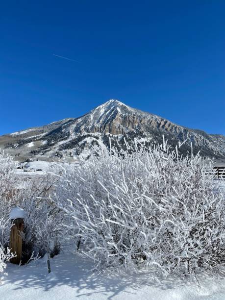 istock Snow-Covered Crested Butte Mountain in Winter 2171811856