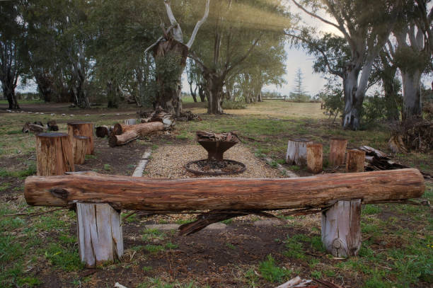 istock Rustic campfire surrounded by wooden logs and benches in a serene rural landscape 2171816580