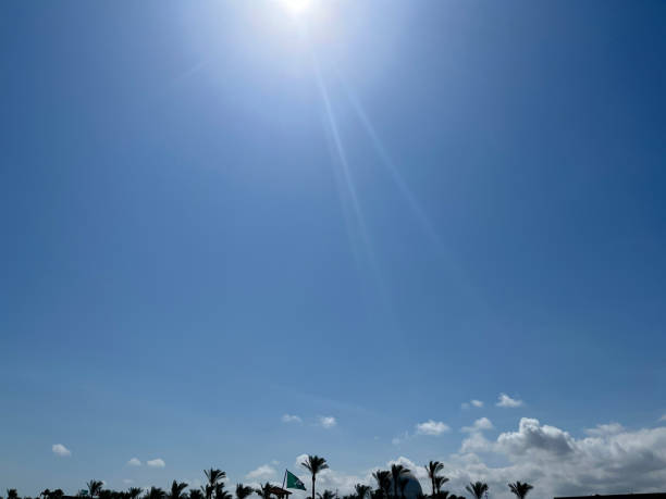 Sunburst in blue sky above palm trees