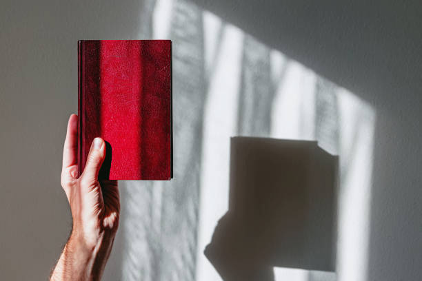 A person holding a small red book with shadow play on a wall during daylight in a cozy indoor setting