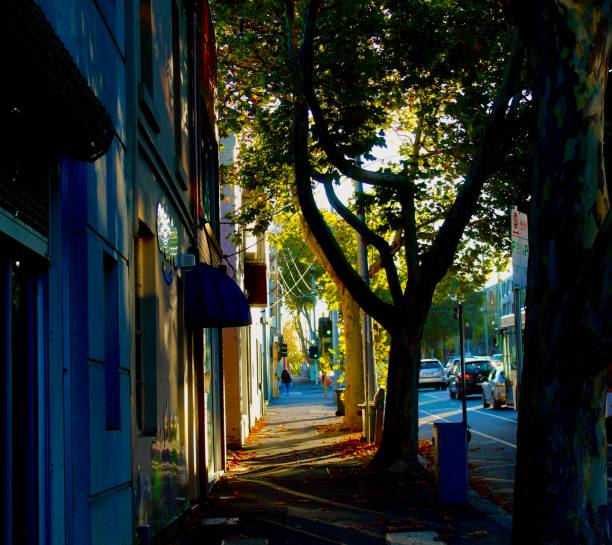 istock Shady Urban Walk 2171837527