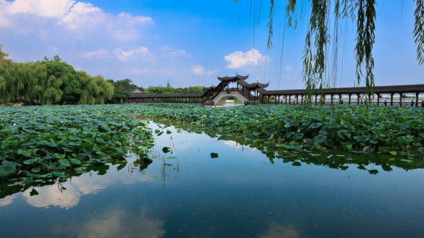 istock gallery bridge at Jinxi 2171839763