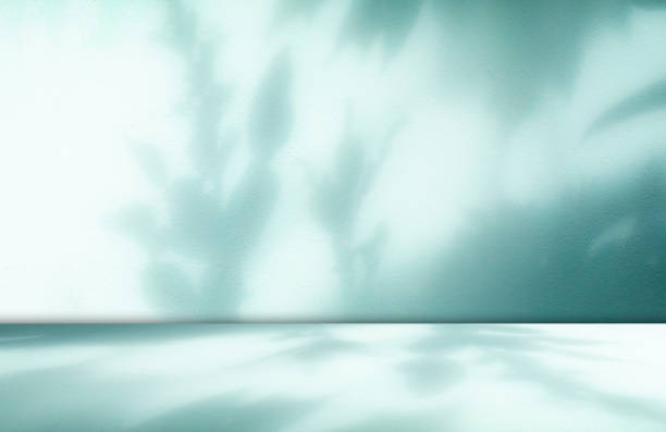 istock Background teal summer abstract shadow gradient room studio product floor wall green overlay leaf blur cement Mockup presentation fashion cosmetic backdorp scene loft minimal template empty simple. 2171842967