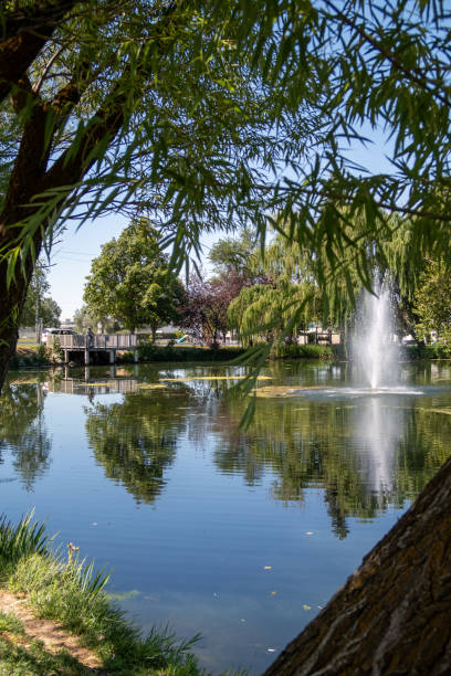 istock Summer day at the lake 2171855006
