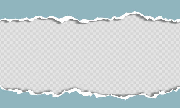 ilustraciones, imágenes clip art, dibujos animados e iconos de stock de diseño de bordes de papel rasgados blancos y azules con espacio vacío para texto - papel rasgado