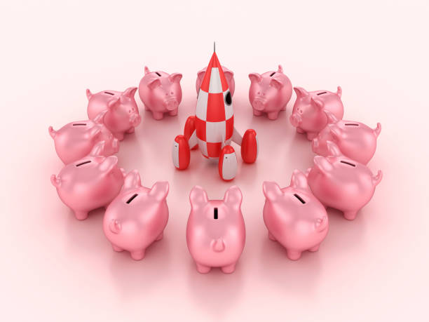 istock Rocket with Piggy Bank 2171866557