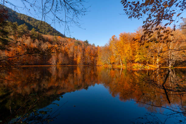 istock Yedigoller national park 2171876006