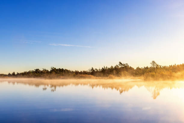 istock Sunrise with morning mist a forest lake in autumn 2171882197