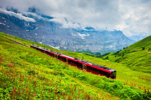Train near the Kleine Scheidegg railway station in the Bernese Oberland region of Switzerland