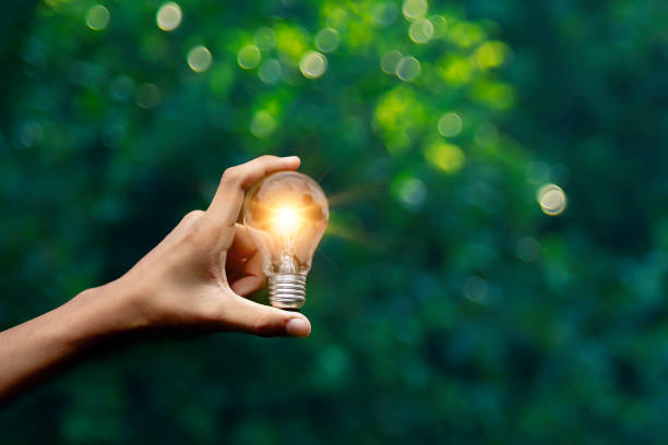 istock Hands holding glowing light bulbs on green leaf background 2171886215