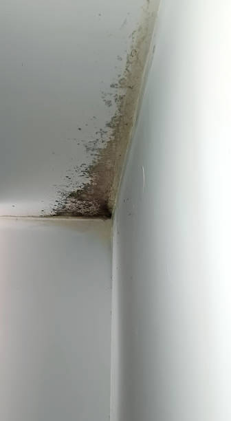 istock Apartment room with mildew and mold problem on the white wall and the ceiling 2171887736