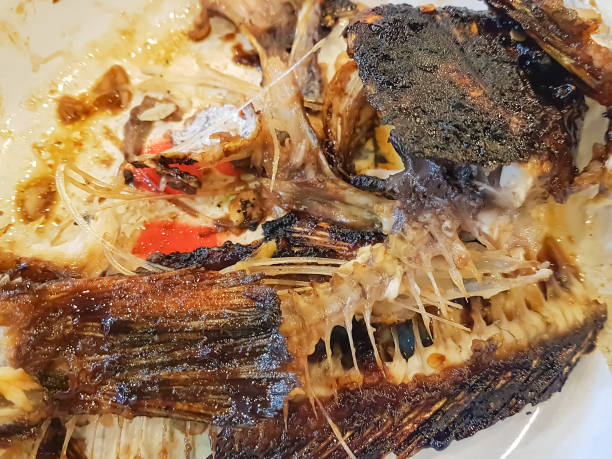 Food Leftover on a plate