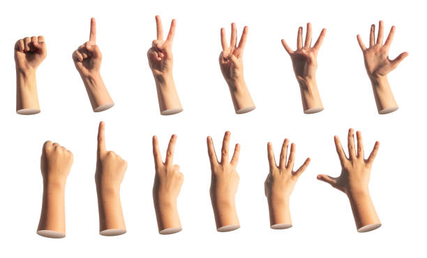 istock Kids hand counting fingers. zero, one, two, three, four, five, numbers isolated. Gestures set on 2171891003