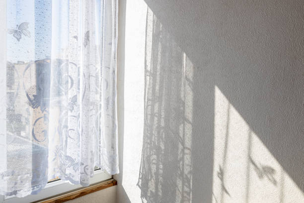 istock tulle on window and wall illuminated by sun 2171898067