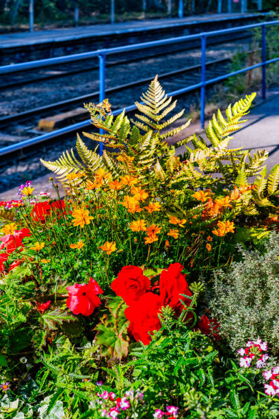 flowers on railway station