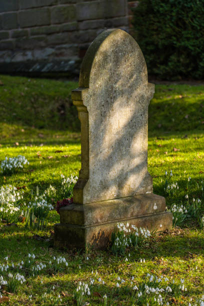 elderly unrecognizable religious woman cleaning a statue of a virgin in a cemetery.vertical image.