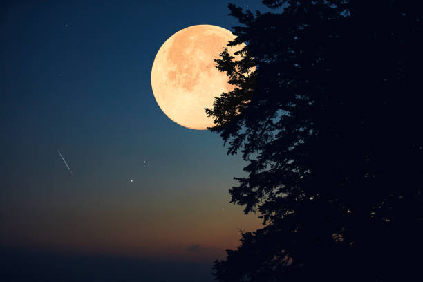istock Full Moon, stars, planets and landscape scenery silhouettes. 2171900421