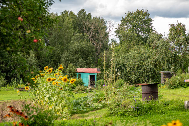 istock garden decorations, yard interior, various items for home decoration, gardener's concept 2171900480