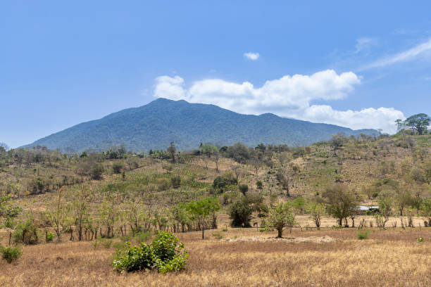 istock Ometepe island in Nicaragua 2171912610