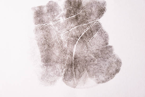 handprint on white paper close up, forensic fingerprinting, background