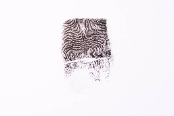 istock Close-up fingerprint on white paper, background, forensic fingerprinting 2171915225
