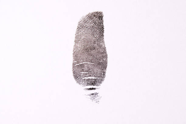 Fingerprint