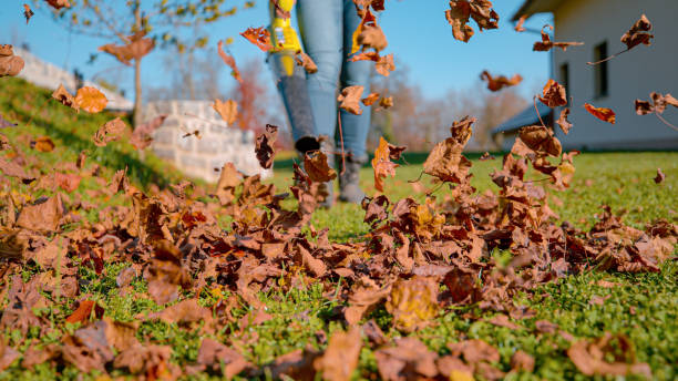 istock CLOSE UP, DOF: Clearing fallen and dry autumn leaves with a portable leaf blower 2171922957