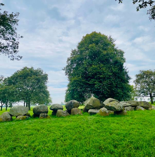 Achterhoek, the Netherlands -   2023-09-02:  A traditional Dutch farmhouse with red roof tiles stands in the middle of a vast green field surrounded by trees. The expansive sky with scattered clouds adds depth to this peaceful rural landscape in the Dutch countryside.