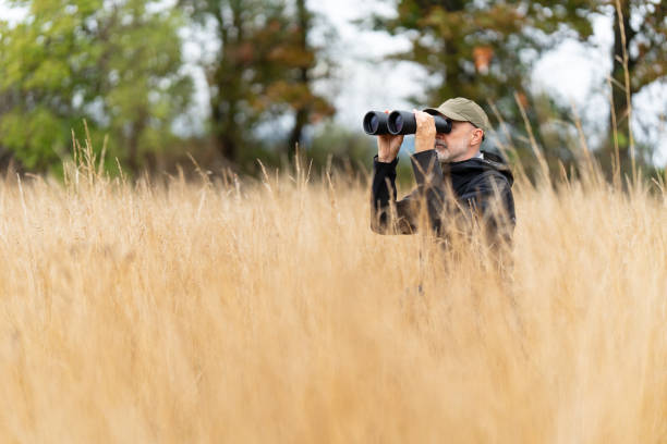 park ranger kneeling in dry grass field watching with binoculars