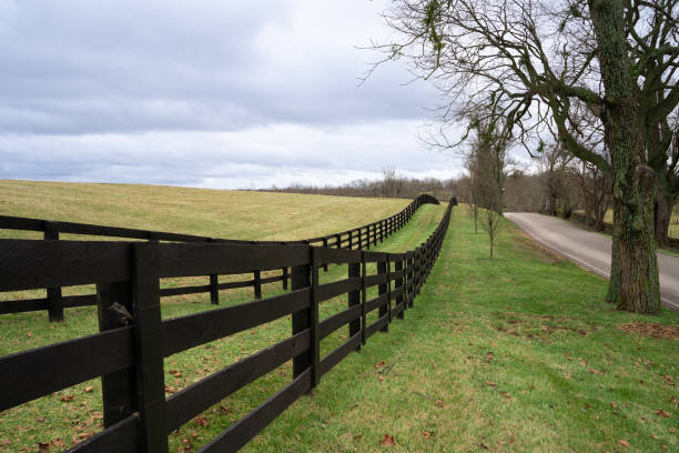 Rolling grassy hills and wood fence post from Kentucky rural landscape