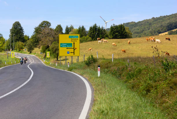Slovenian landscape in midsummer near Postojna, with the main road leading to the capital city Ljubljana, a herd of grazing cows and a wind tower