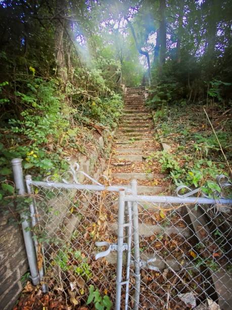 istock Abandoned Outdoor Staircase 2171948543