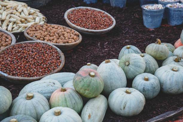 large containers with walnuts and hazelnuts, corn, pumpkins and potatoes outdoors, harvest concept, close up.
