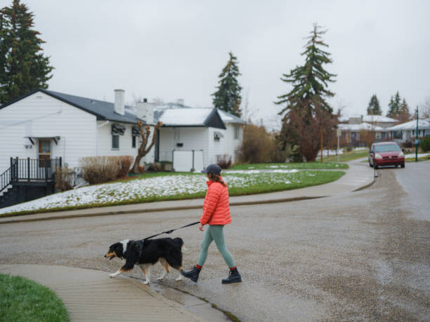 istock Woman walking her active dog in suburbs  in springtime 2171952794