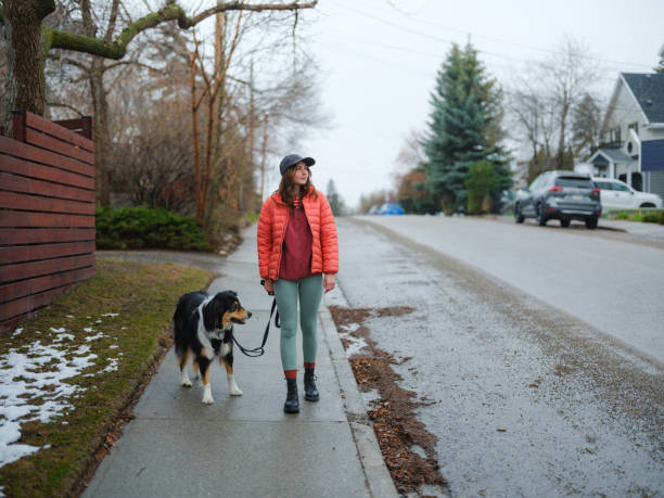 Woman walking her active dog in suburbs  in springtime