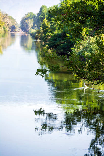 istock River reflecting lush greenery at Lake Kerkini 2171954301