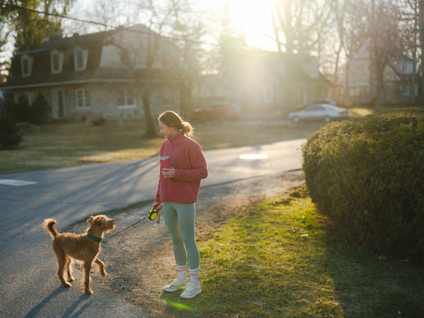 istock Woman on walk with dog in springtime at sunset 2171954587