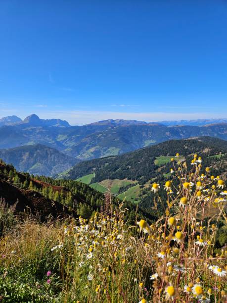 istock Mountainview in South Tyrol 2171954644