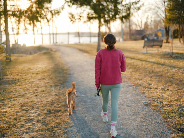 istock Woman on walk with dog in springtime at sunset 2171954655