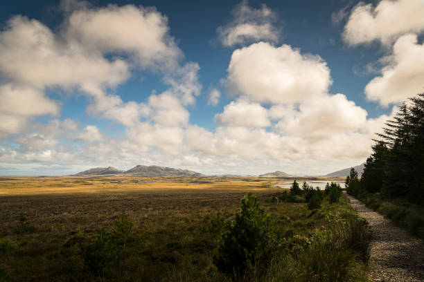 Remote landscapes with peat fields and mountains at the Scottish Highlands. Mountain range. Panorama.