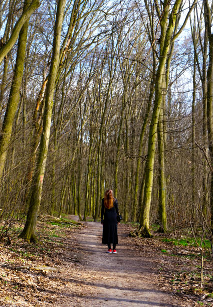 istock A solitary figure walks along a forest path 2171957746