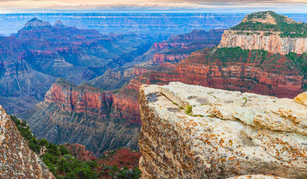 Elevated View Above   Roaring Springs Canyon With Kaibab Limestone Ledges, Bright Angel Point Trail, North Rim, Grand Canyon National Park, Arizona, USA