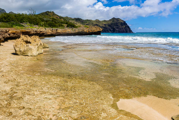 istock Coral Reef on Ha'ula Beach With The Haupu Mountain Range 2171966906