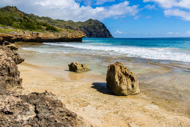Coral Reef on Ha'ula Beach With The Haupu Mountain Range