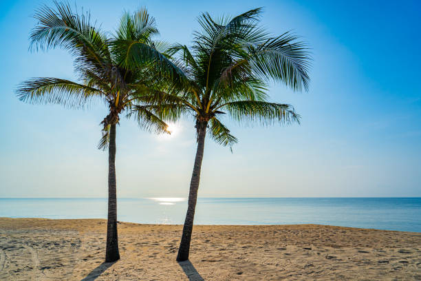 istock Coconut trees and beautiful sea beach 2171967631