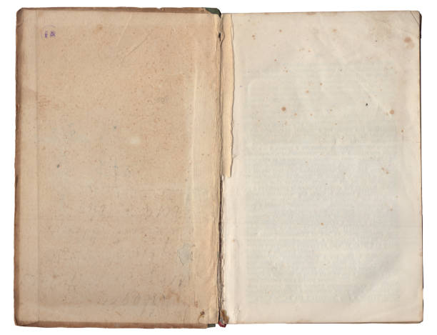 istock Vintage empty background of old book paper texture isolated 2171978503