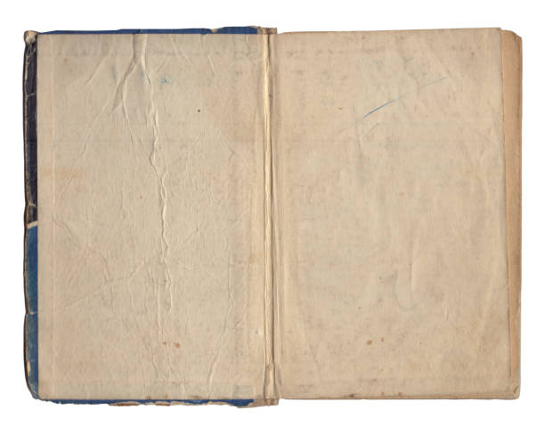 istock Vintage empty background of old book paper texture isolated 2171978638