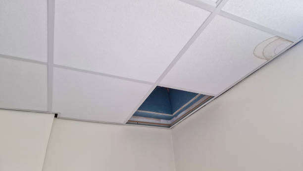 istock Repair work to piping in a ceiling 2171979236